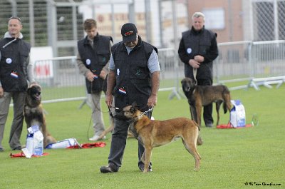 Remise des Prix 143.JPG - CHIENPLUS.COM